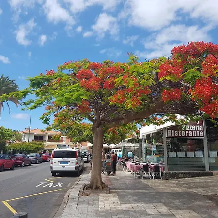 Agave Sol Apartment Puerto de la Cruz (Tenerife)