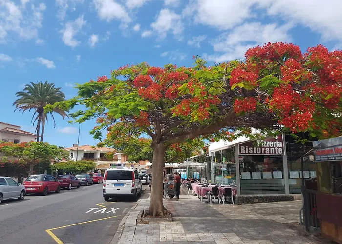 Agave Sol Appartement Puerto de la Cruz (Tenerife)